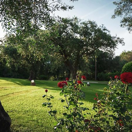 Panorama Hideaway Apart otel Dassia  Dış mekan fotoğraf
