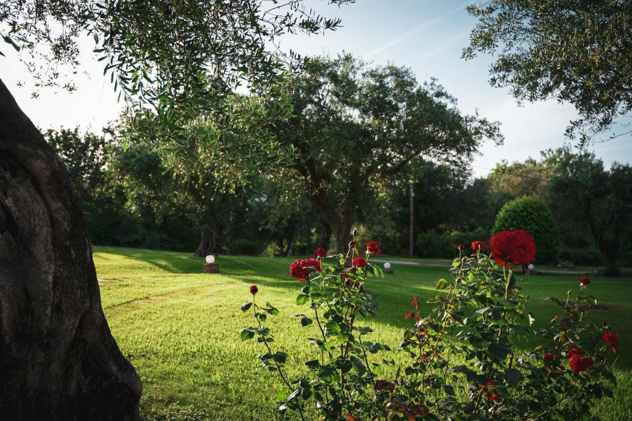 Panorama Hideaway Apart otel Dassia  Dış mekan fotoğraf