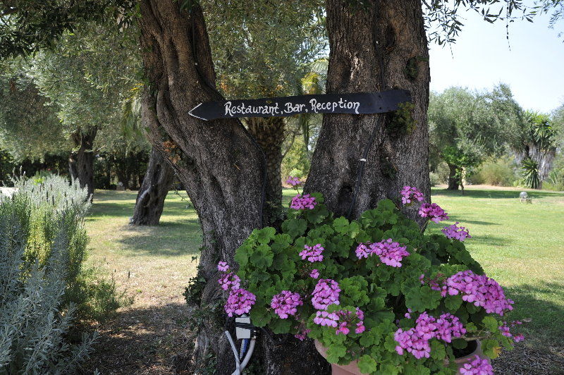 Panorama Hideaway Apart otel Dassia  Dış mekan fotoğraf